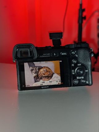 Cámara Sony Alpha A6000 Negra