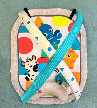 Gimnasio Actividades Baby Einstein