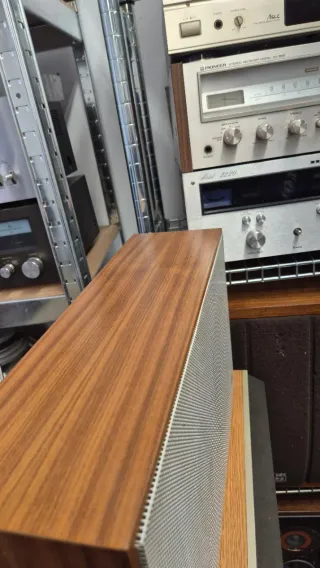 Altavoces Braun L310