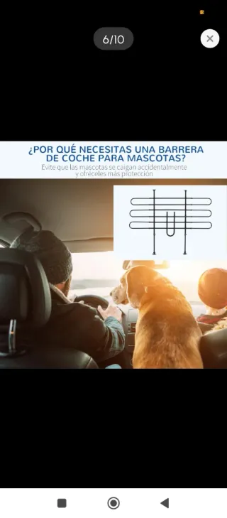 Recinzione protettiva per animali in metallo nero