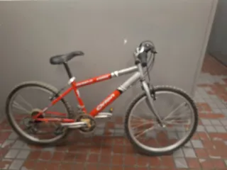 Bicicleta Infantil Orion 24