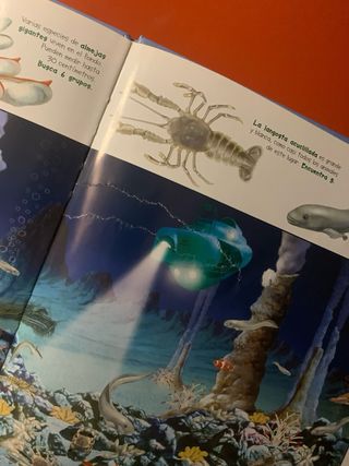 Libro Busca los animales de la tierra (Español)