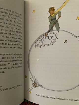 El Principito / The Little Prince (Spanish Edit...