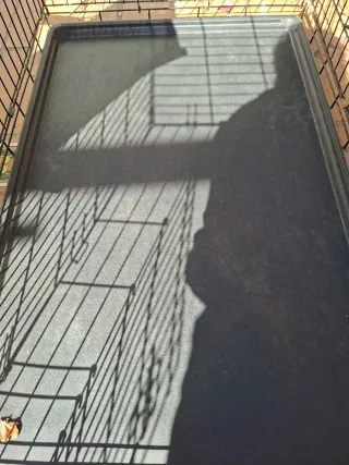 Jaula Perros XL Negra