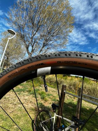 Canyon CF 8 EKAR campagnolo Ekar 1x13 speed T.S