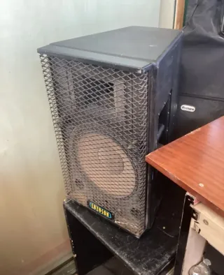 Pareja Altavoces LUZYSON 300W Seminuevos
