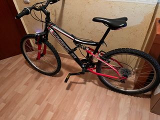 Bicicleta de montaña Freerider