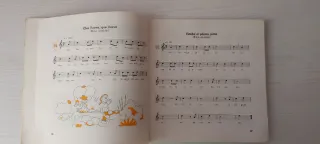 Libro de música Flauta Dulce EGB