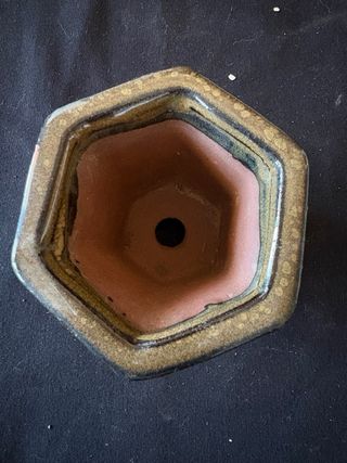 Maceta Bonsái Terracota