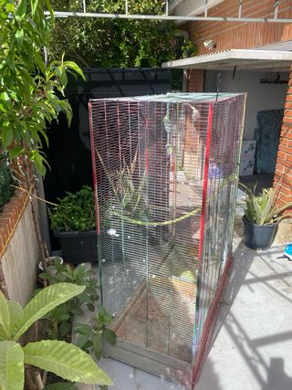 Jaula grande para pájaros
