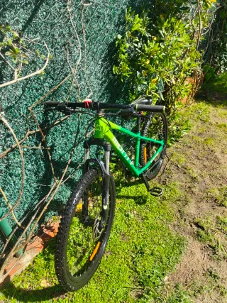 Bicicleta Montaña Monty KX9 Verde