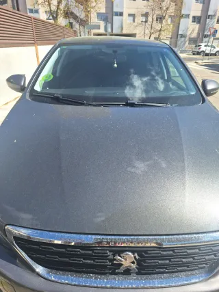 Peugeot 308  308 2019