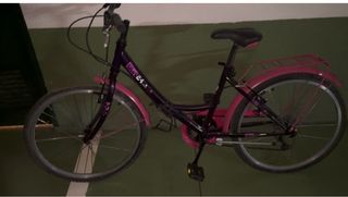 Bicicleta Morada y Rosa 24