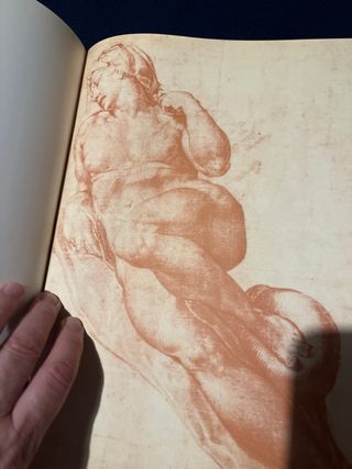 Dibujos de desnudos de los  grandes maestros