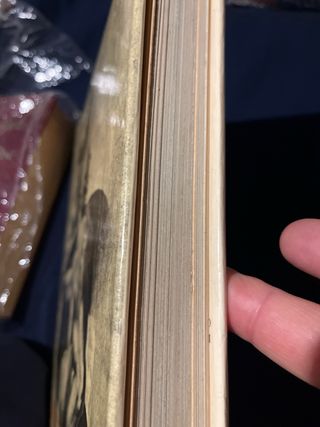 Dibujos de desnudos de los  grandes maestros