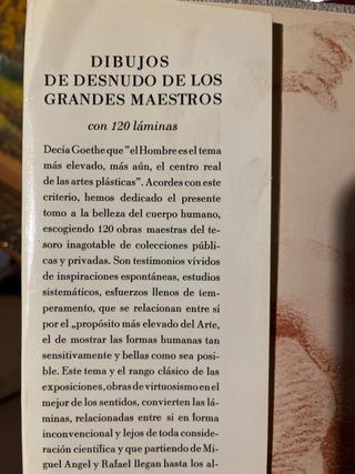Dibujos de desnudos de los  grandes maestros
