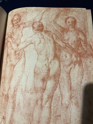 Dibujos de desnudos de los  grandes maestros