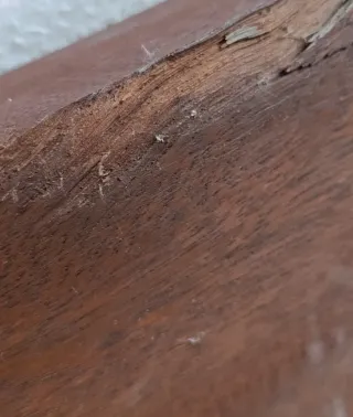 Antiguo Tablón grande  de madera maciza.