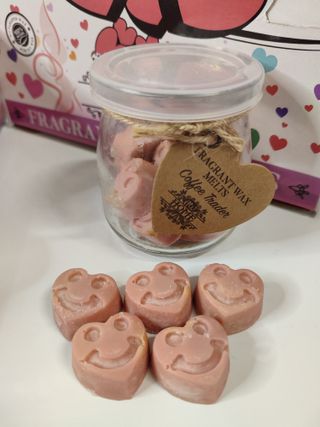 BOTE con cere profumate di SOIA per bruciatori