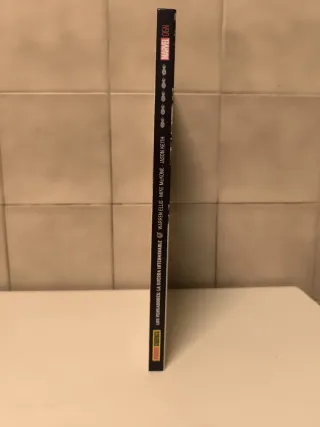 Los vengadores: La Guerra interminable.