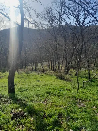 Finca rústica con terreno