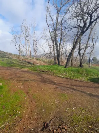 Finca rústica con terreno