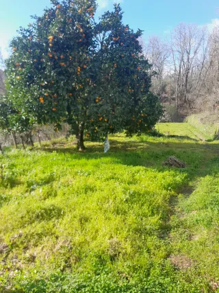 Finca rústica con terreno