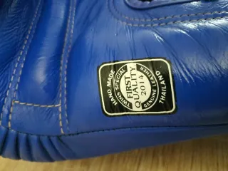 Guantes Boxeo Muay Thai Twins 16 oz Azul