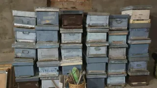 Lote Colmenas Langstroth