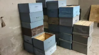 Lote Colmenas Langstroth