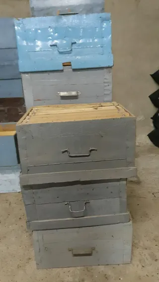 Lote Colmenas Langstroth