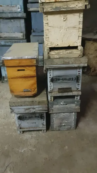 Lote Colmenas Langstroth