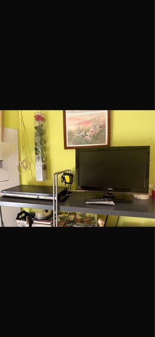 Televisor Philips 19 con DVD