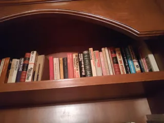 Lotes de libros