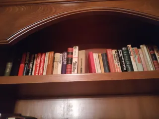 Lotes de libros