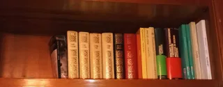 Lotes de libros