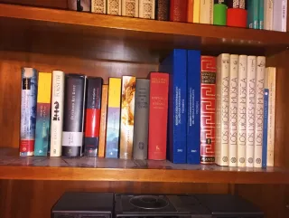 Lotes de libros