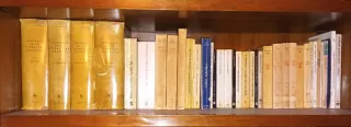 Lotes de libros