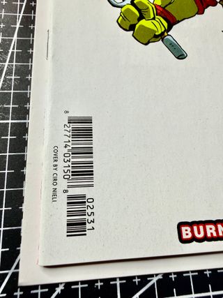 TMNT Saturday Morning Adventures #25 Nieli Variant