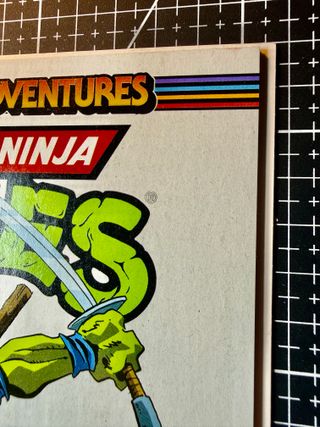 TMNT Saturday Morning Adventures #25 Nieli Variant