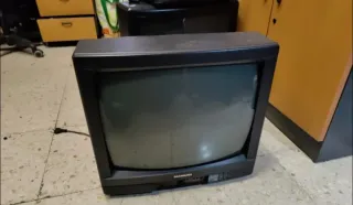 Televisor Samsung Negro