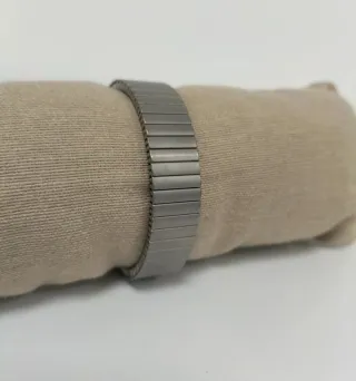 Orologio Regent Titanio Anallergico Blu