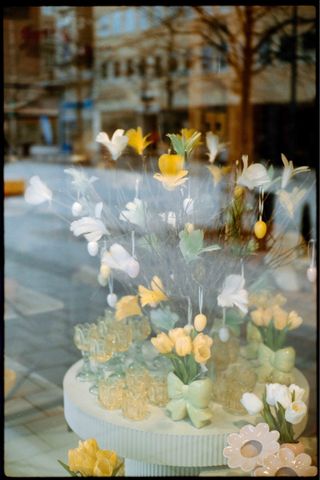 Cámara analógica Yashica