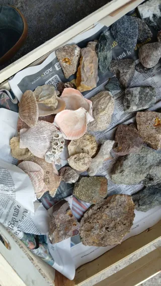 Lotto minerali e rocce. Mineralogia