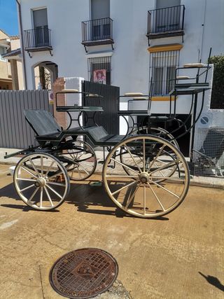Coche de caballos