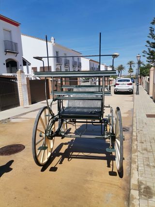 Coche de caballos