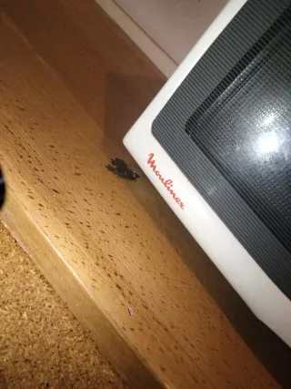 Microondas Moulinex Compact Blanco