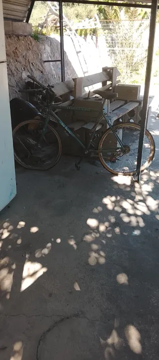 Bicicleta Clásica Verde
