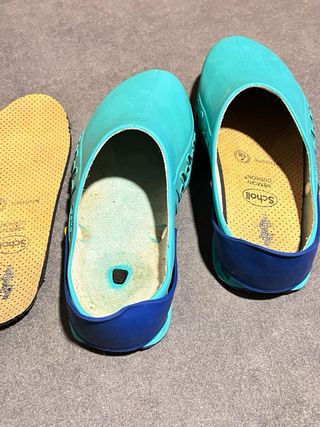 Zuecos Scholl Azul y verde