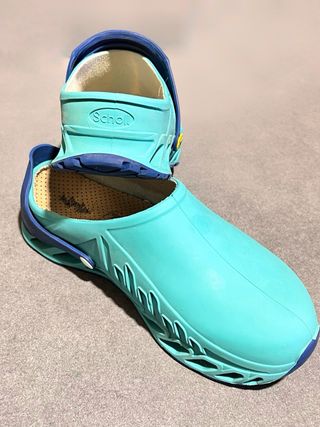 Zuecos Scholl Azul y verde